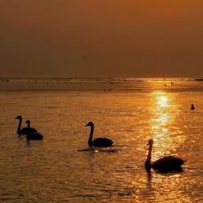 ����: ��������� �����