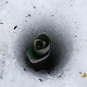 ����: ����� � �����