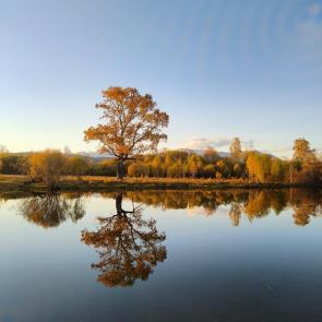 ����: ��������� ���������!