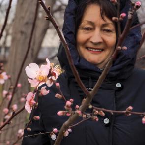 ������� ������