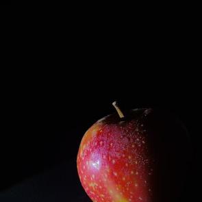 ����: �������