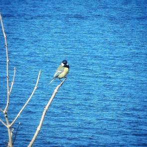 ����: � ������ ������ ����