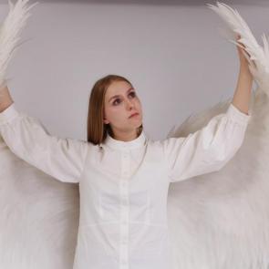 ����: ������� 