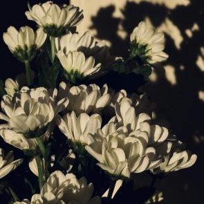 ����: 