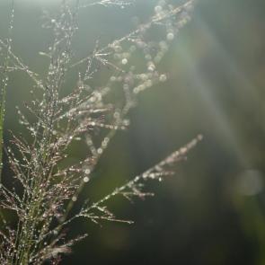 ����: 