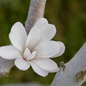 ����: ������ ����� ��������