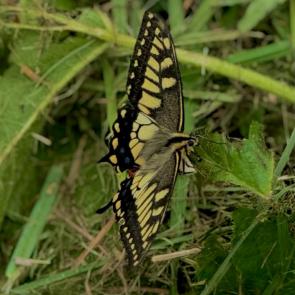 ����: �� ������ 