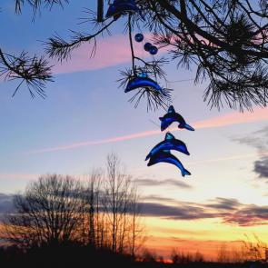 ���� ��������: ���������� �������