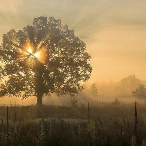 ����: �������� ���� 