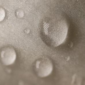 ���� ��������: �����