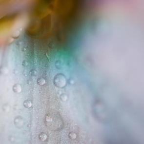 ����: ��� ����� 