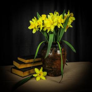 ���� ��������: 