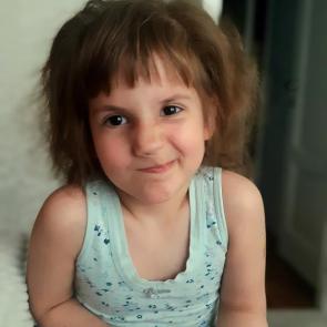 ����: ��������