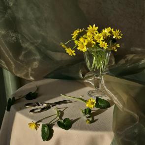 ���� ��������: ����� �������