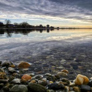 ����: �.�������, ������