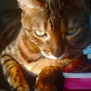 ���� � �����