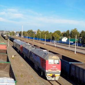 ����: ���