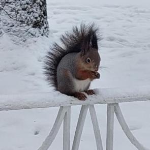 ����: ����� �� ��������