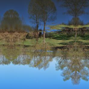 ����: ���������