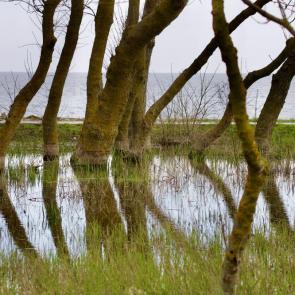 ���� ��������: � ����