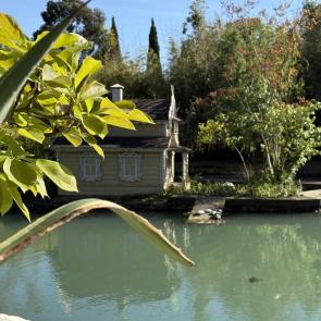 ����: ���� ����� �������� 