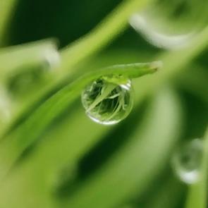 ���� ��������: ��� � ����� 