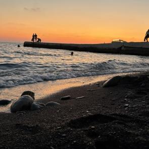 ����: ����