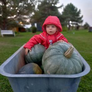 ���� ��������: 