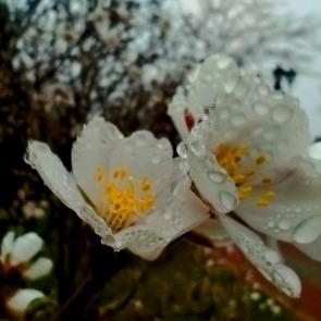 ����: ����� ����� �� ���������