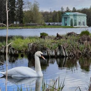 ����: ������ ������