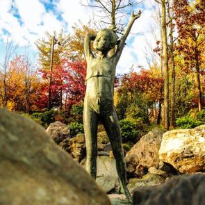 ���� ��������: 