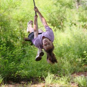 ���� ��������: �������