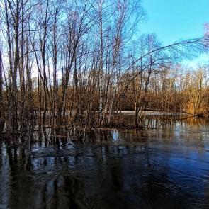 ���� ��������: 