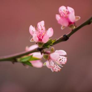 ����: �������� ����������� ������