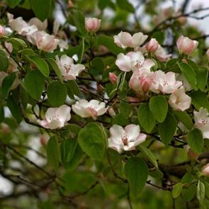 ����: �������� ����