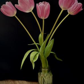 ����: �������� 