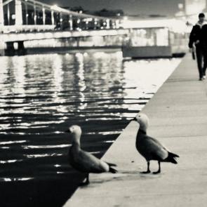 ����: ���������� ����