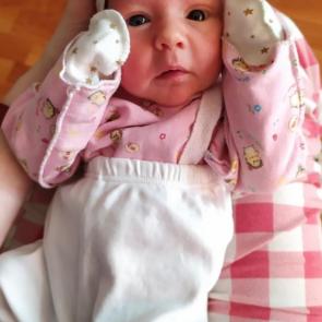 ����: �������