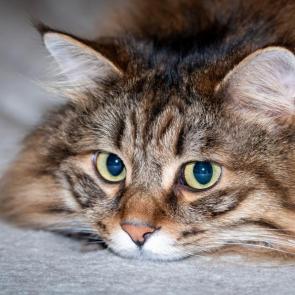 ����: � ��������....