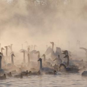 ����: �������...-35