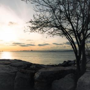 ����� ������ ������� 