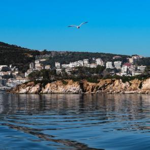 ���� ��������: 