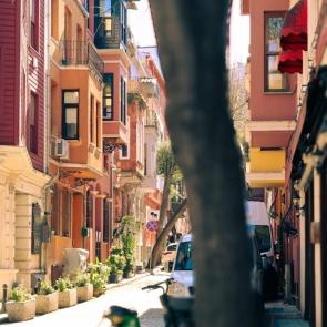 ���� ��������: ����� ���������� �������