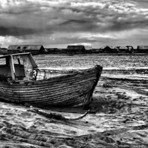 ����: ������ ������.