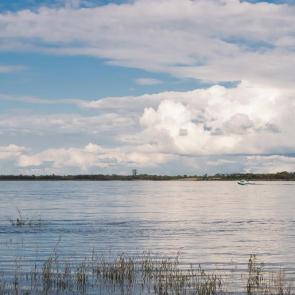 ���� ��������: 