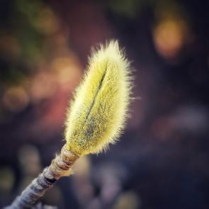���� ��������: 