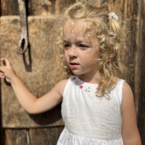 ����: ������� ����