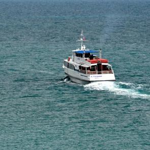 ����: ���� �� ����