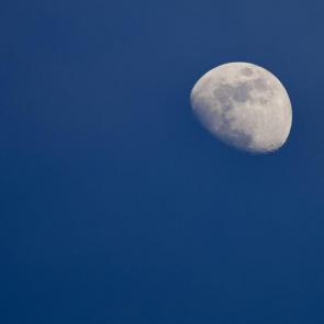 ���� ��������: �� �������� ����