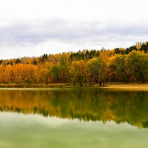 ���� ��������: 